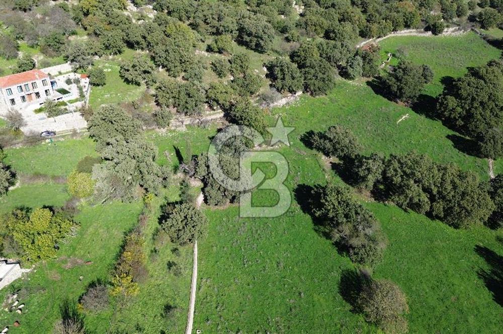 AYVACIK SÖĞÜTLÜ KÖY İÇİNDE İMARLI SATILIK 693m² ARSA