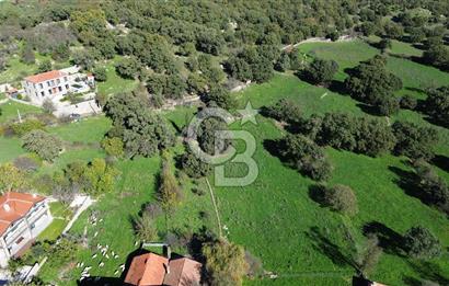 AYVACIK SÖĞÜTLÜ KÖY İÇİNDE İMARLI SATILIK 693m² ARSA