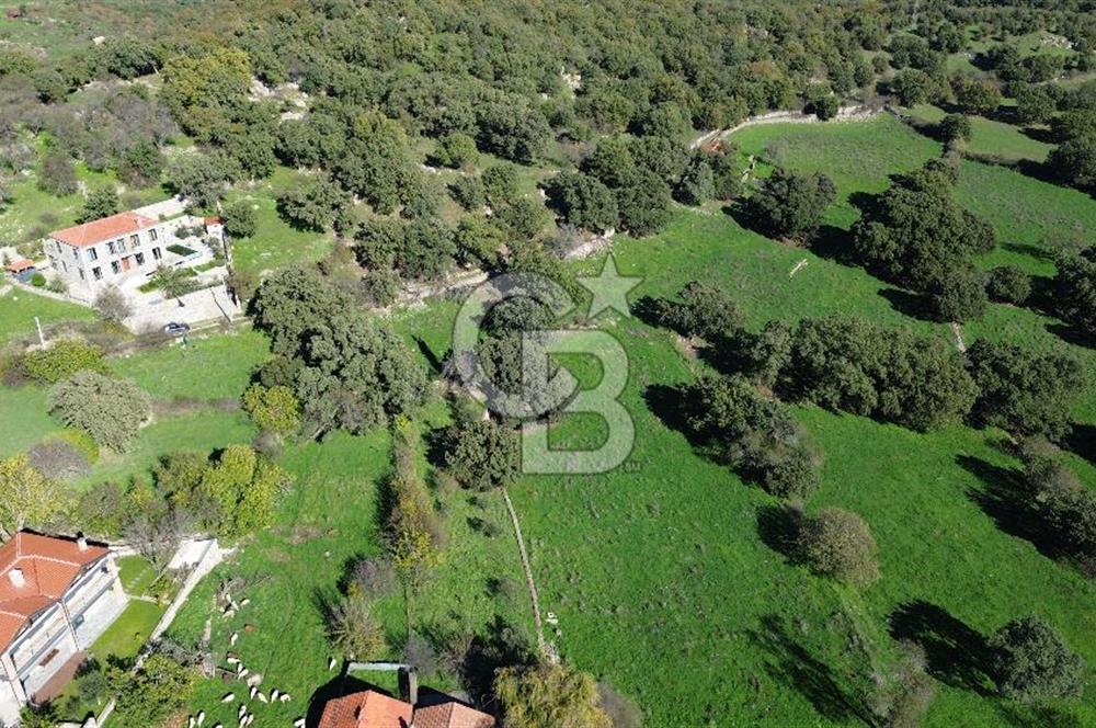 AYVACIK SÖĞÜTLÜ KÖY İÇİNDE İMARLI SATILIK 693m² ARSA