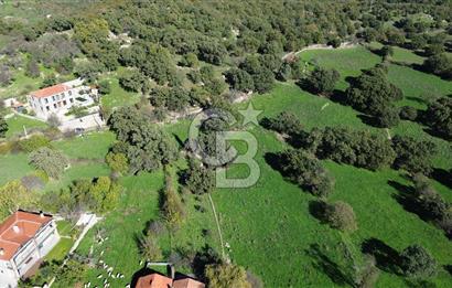 AYVACIK SÖĞÜTLÜ KÖY İÇİNDE İMARLI SATILIK 693m² ARSA