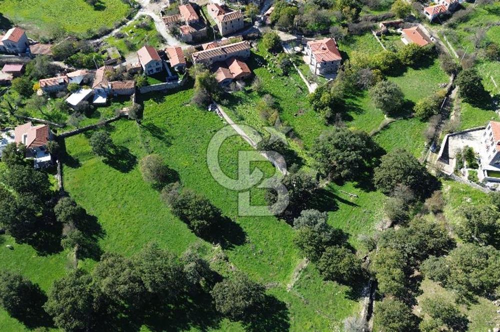 AYVACIK SÖĞÜTLÜ KÖY İÇİNDE İMARLI SATILIK 693m² ARSA