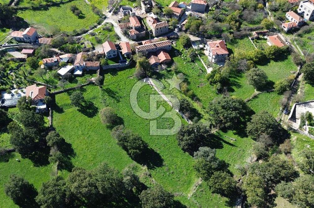 AYVACIK SÖĞÜTLÜ KÖY İÇİNDE İMARLI SATILIK 693m² ARSA