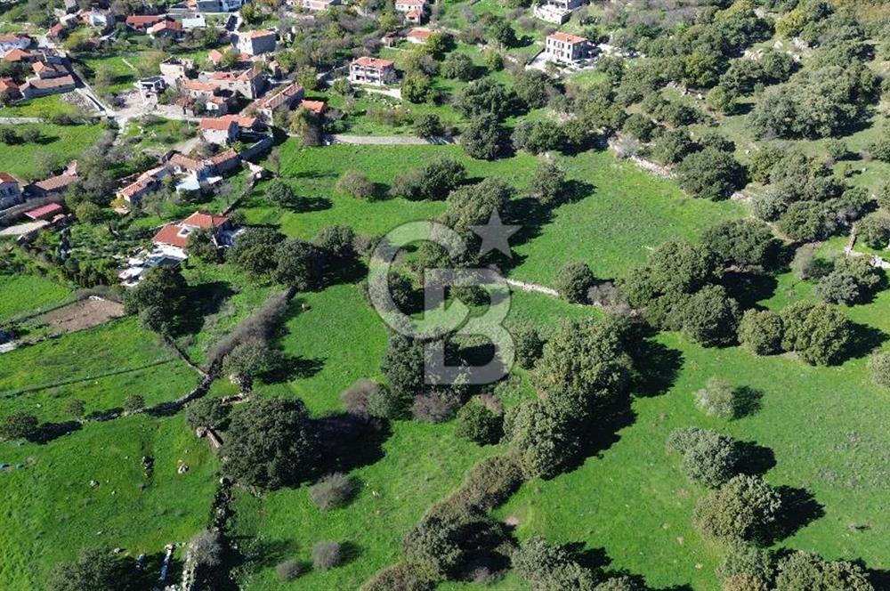 AYVACIK SÖĞÜTLÜ KÖY İÇİNDE İMARLI SATILIK 693m² ARSA