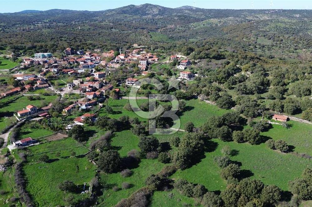 AYVACIK SÖĞÜTLÜ KÖY İÇİNDE İMARLI SATILIK 693m² ARSA