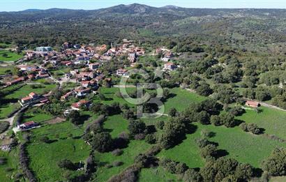 AYVACIK SÖĞÜTLÜ KÖY İÇİNDE İMARLI SATILIK 693m² ARSA