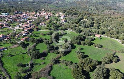 AYVACIK SÖĞÜTLÜ KÖY İÇİNDE İMARLI SATILIK 693m² ARSA