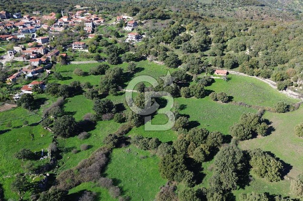 AYVACIK SÖĞÜTLÜ KÖY İÇİNDE İMARLI SATILIK 693m² ARSA