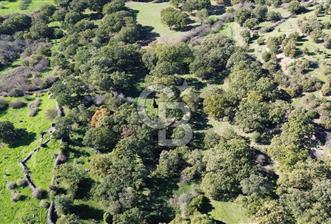 AYVACIK SÖĞÜTLÜDE BİR KISMI İMARDA 70 DÖNÜM YATIRIMLIK ARAZİ - 6 - 318984