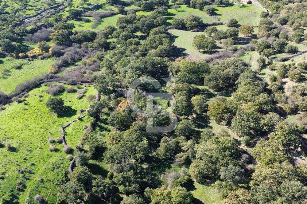 AYVACIK SÖĞÜTLÜDE BİR KISMI İMARDA 70 DÖNÜM YATIRIMLIK ARAZİ