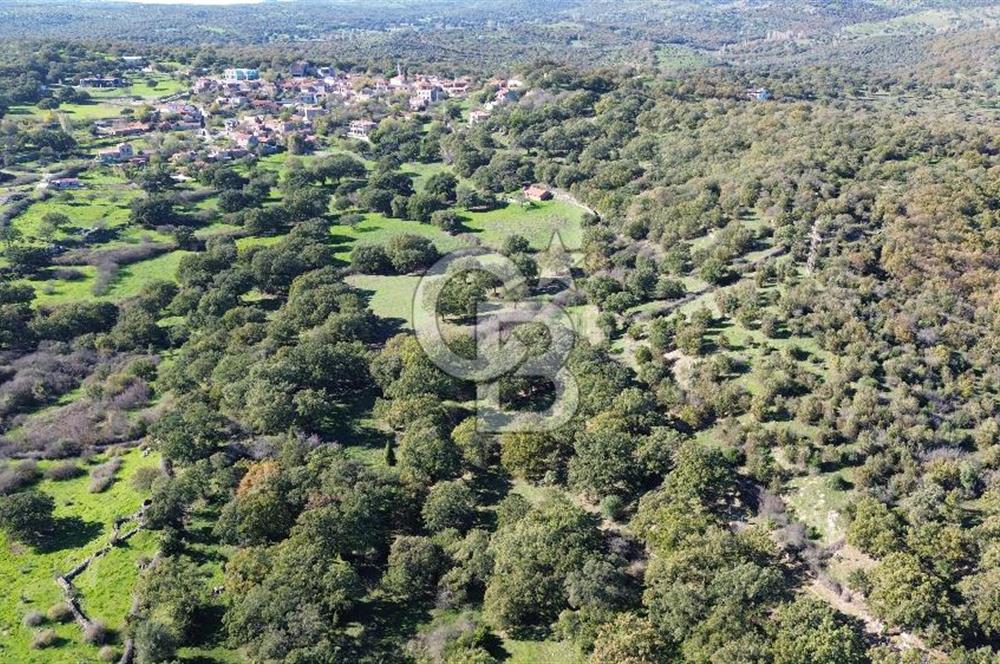 AYVACIK SÖĞÜTLÜDE BİR KISMI İMARDA 70 DÖNÜM YATIRIMLIK ARAZİ