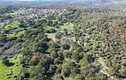 AYVACIK SÖĞÜTLÜDE BİR KISMI İMARDA 70 DÖNÜM YATIRIMLIK ARAZİ