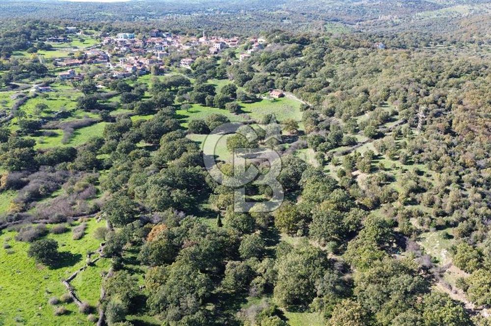 AYVACIK SÖĞÜTLÜDE BİR KISMI İMARDA 70 DÖNÜM YATIRIMLIK ARAZİ