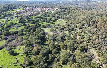 AYVACIK SÖĞÜTLÜDE BİR KISMI İMARDA 70 DÖNÜM YATIRIMLIK ARAZİ