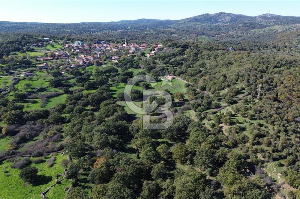 AYVACIK SÖĞÜTLÜDE BİR KISMI İMARDA 70 DÖNÜM YATIRIMLIK ARAZİ