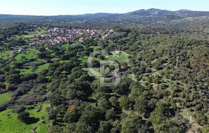 AYVACIK SÖĞÜTLÜDE BİR KISMI İMARDA 70 DÖNÜM YATIRIMLIK ARAZİ