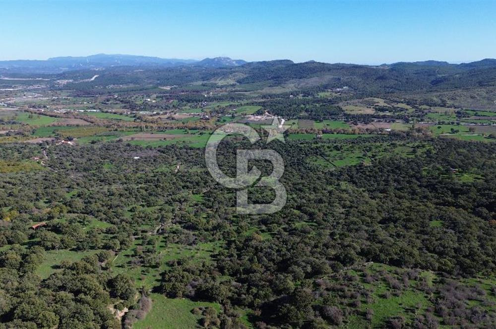 AYVACIK SÖĞÜTLÜ KÖY İÇİNDE İMARLI SATILIK 693m² ARSA