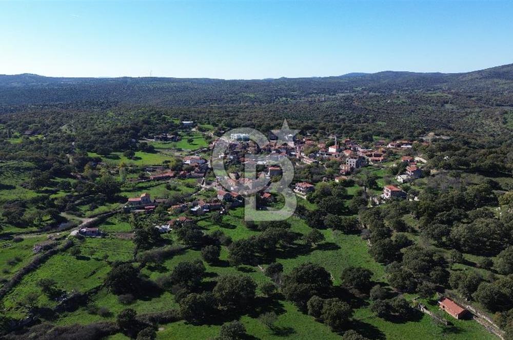 AYVACIK SÖĞÜTLÜ KÖY İÇİNDE İMARLI SATILIK 693m² ARSA