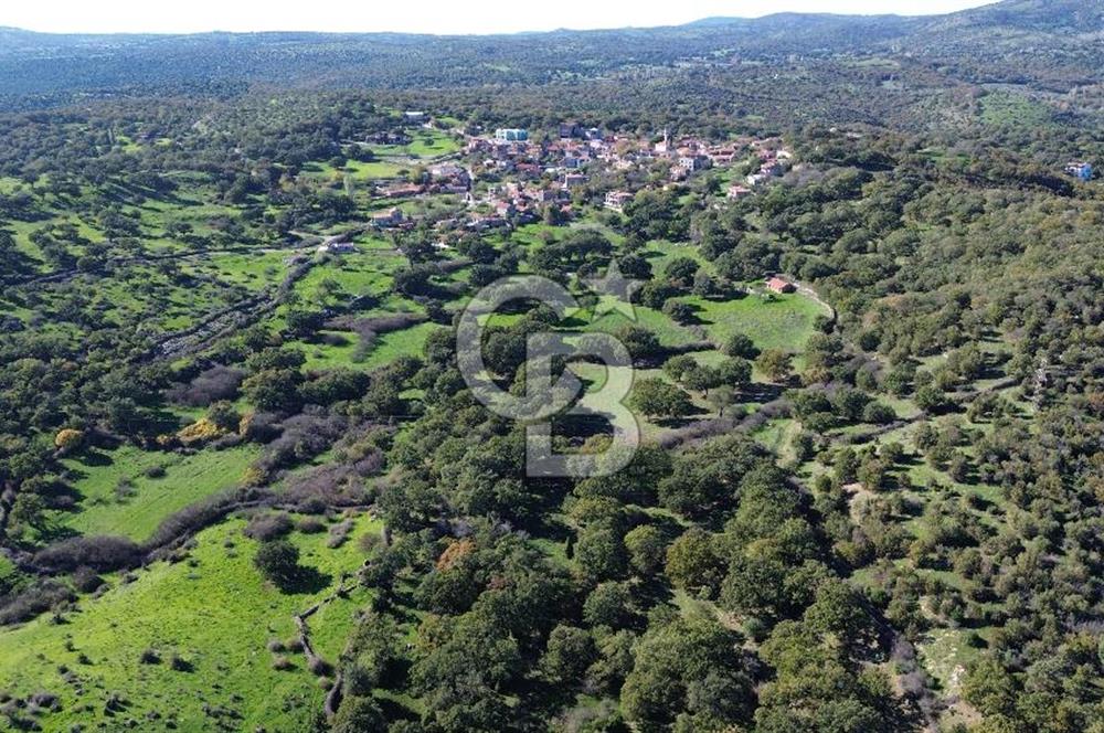 AYVACIK SÖĞÜTLÜ KÖYÜNDE 1794 M² SATILIK TARLA