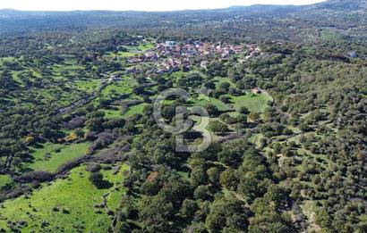 AYVACIK SÖĞÜTLÜ KÖYÜNDE 1794 M² SATILIK TARLA