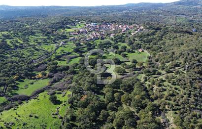 AYVACIK SÖĞÜTLÜ KÖYÜNDE 1794 M² SATILIK TARLA