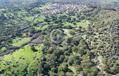 AYVACIK SÖĞÜTLÜ KÖYÜNDE 1794 M² SATILIK TARLA