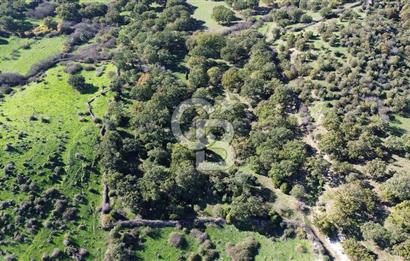 AYVACIK SÖĞÜTLÜ KÖYÜNDE 1794 M² SATILIK TARLA