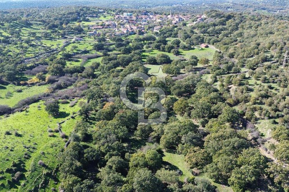 AYVACIK SÖĞÜTLÜ KÖYÜNDE 1794 M² SATILIK TARLA