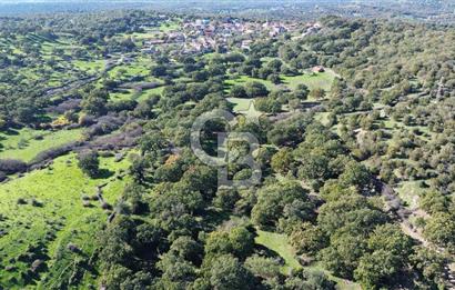 AYVACIK SÖĞÜTLÜ KÖYÜNDE 1794 M² SATILIK TARLA