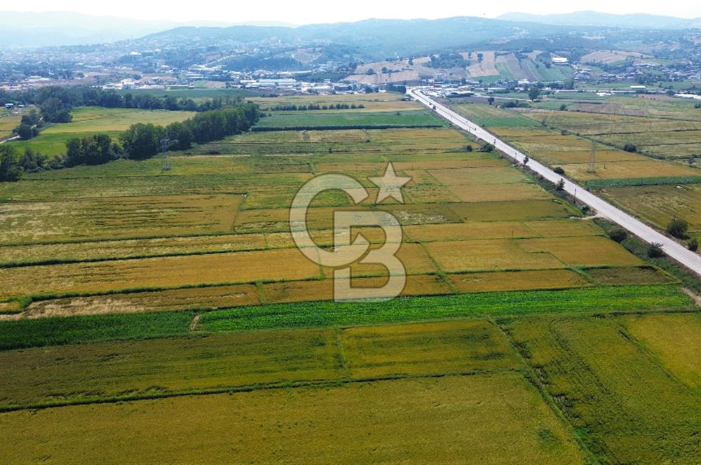 BİGA HAMDİBEY DE 9 DÖNÜM YOLA CEPHE SATILIK TARLA