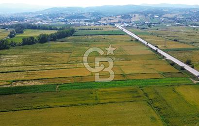 BİGA HAMDİBEY DE 9 DÖNÜM YOLA CEPHE SATILIK TARLA