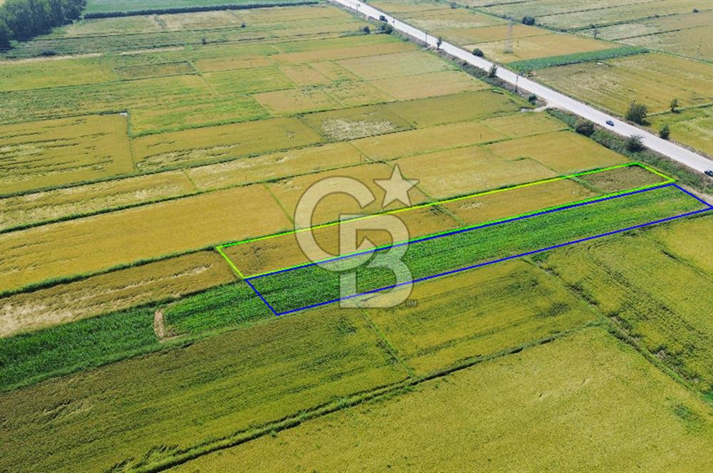 BİGA HAMDİBEY DE 9 DÖNÜM YOLA CEPHE SATILIK TARLA