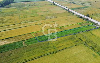 BİGA HAMDİBEY DE 9 DÖNÜM YOLA CEPHE SATILIK TARLA