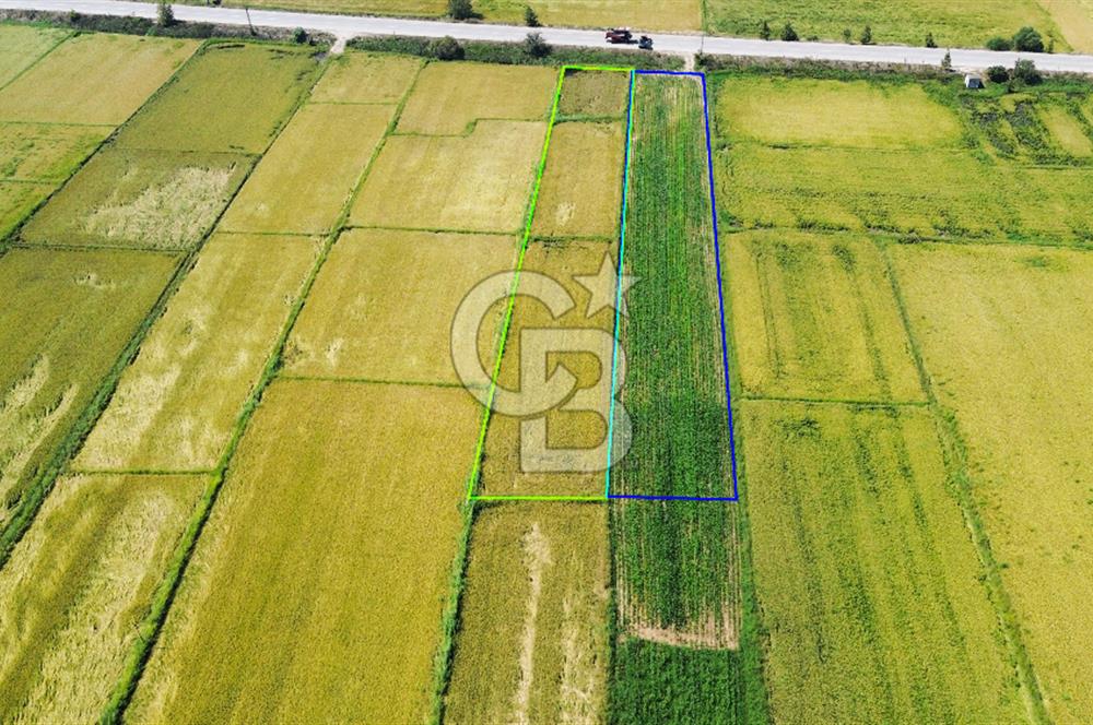 BİGA HAMDİBEY DE 9 DÖNÜM YOLA CEPHE SATILIK TARLA