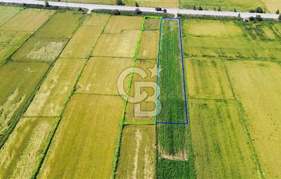 BİGA HAMDİBEY DE 9 DÖNÜM YOLA CEPHE SATILIK TARLA