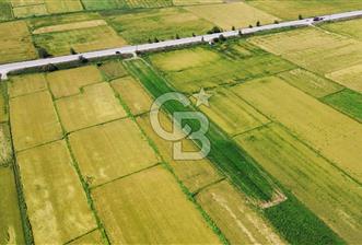 BİGA HAMDİBEY DE 9 DÖNÜM YOLA CEPHE SATILIK TARLA - 1 - 318988