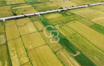 BİGA HAMDİBEY DE 9 DÖNÜM YOLA CEPHE SATILIK TARLA