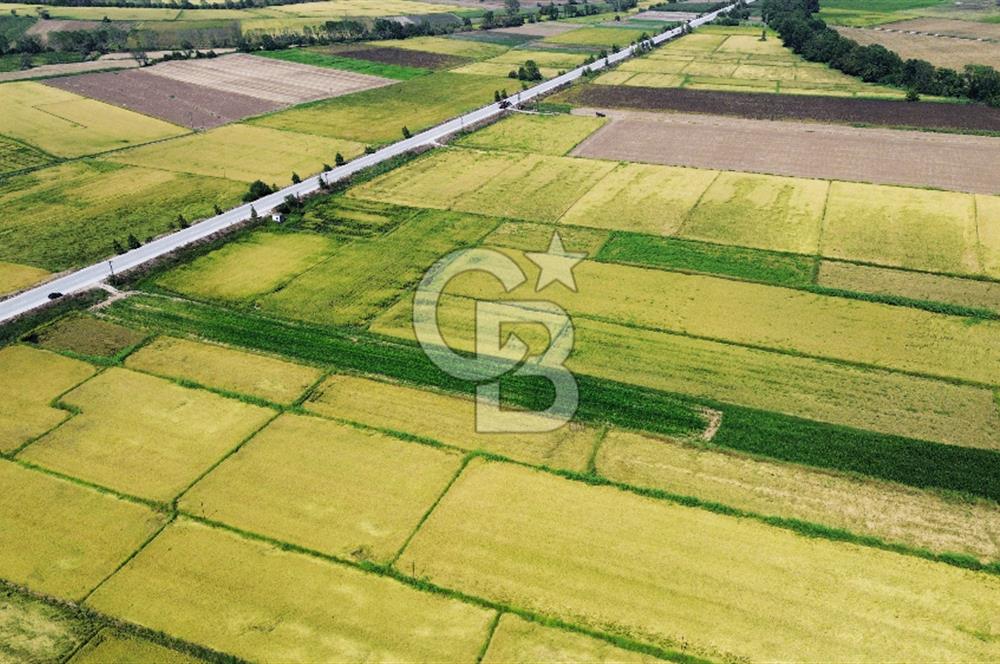 BİGA HAMDİBEY DE 9 DÖNÜM YOLA CEPHE SATILIK TARLA