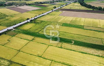 BİGA HAMDİBEY DE 9 DÖNÜM YOLA CEPHE SATILIK TARLA