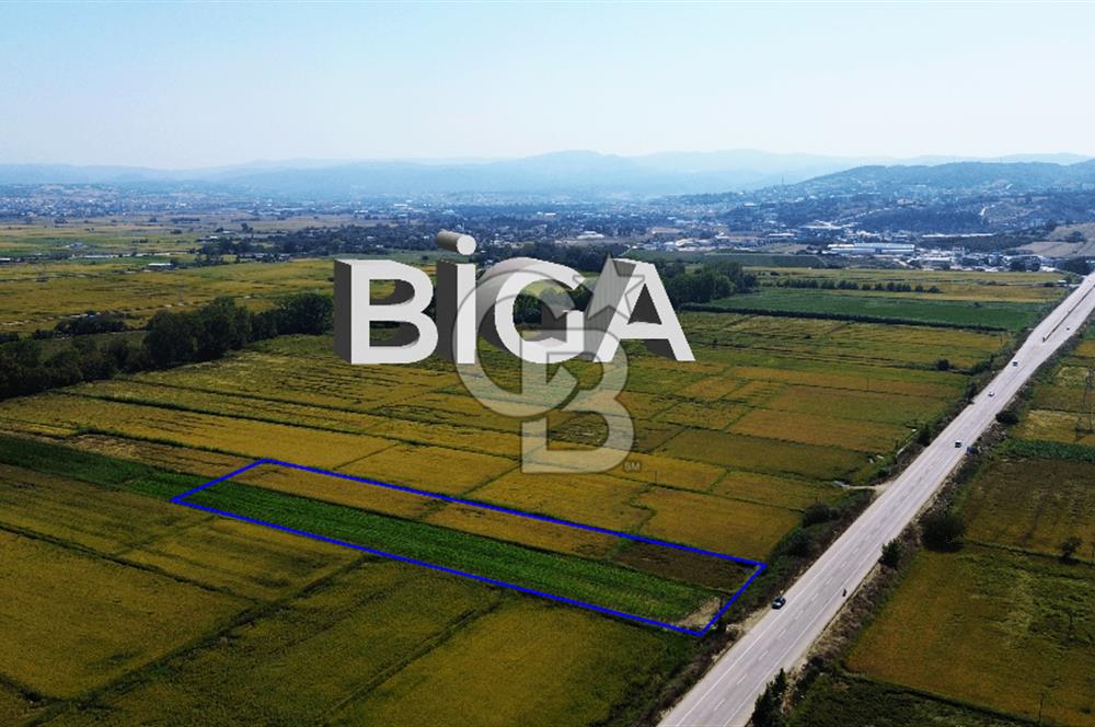 BİGA HAMDİBEY DE 9 DÖNÜM YOLA CEPHE SATILIK TARLA
