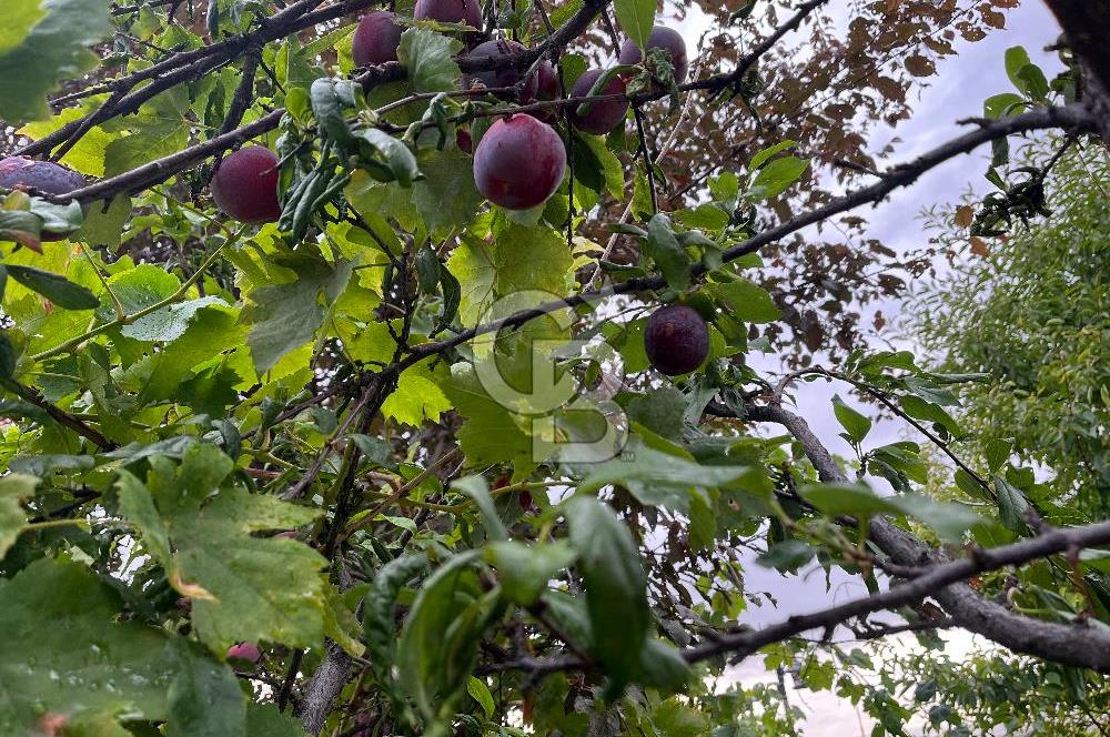 SİNCAN MALIKÖY'DE 3+1 EŞYALI DUBLEX KİRALIK VİLLA