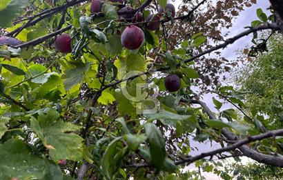 SİNCAN MALIKÖY'DE 3+1 EŞYALI DUBLEX KİRALIK VİLLA