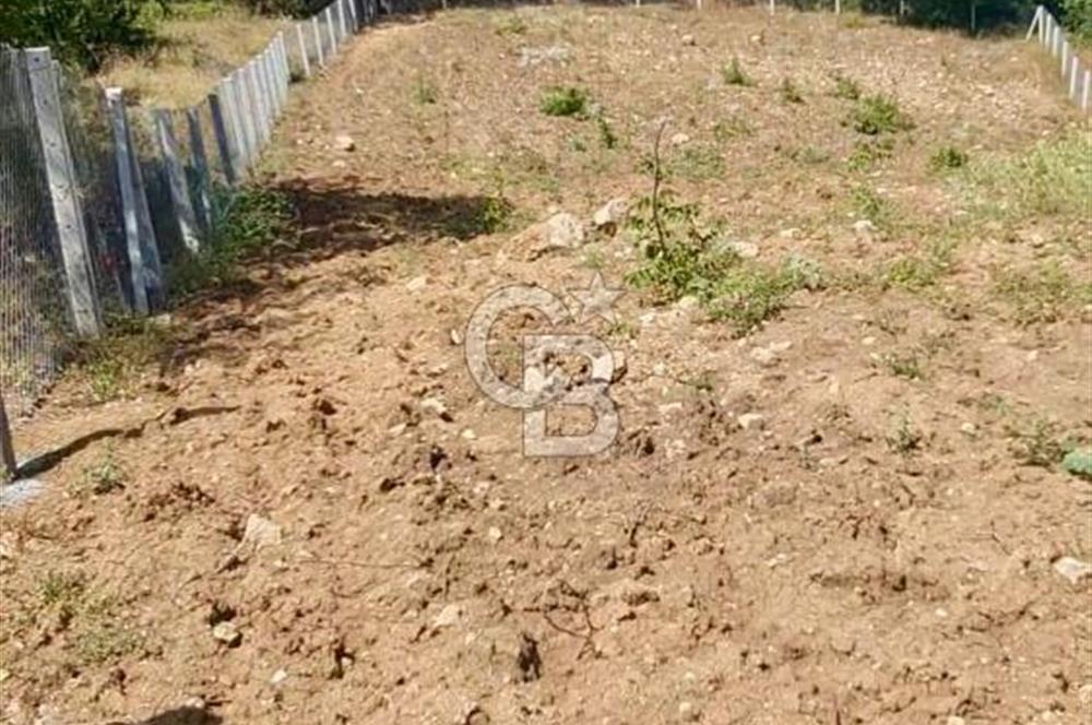 BİLECİK OSMANELİ BALIKÇIHİSAR KÖYÜNDE ETRAFI ÇEVRİLİ TARLA