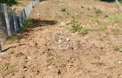 BİLECİK OSMANELİ BALIKÇIHİSAR KÖYÜNDE ETRAFI ÇEVRİLİ TARLA