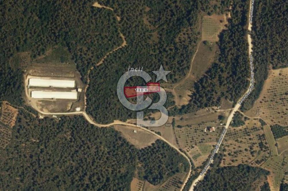 BİLECİK OSMANELİ BALIKÇIHİSAR KÖYÜNDE ETRAFI ÇEVRİLİ TARLA