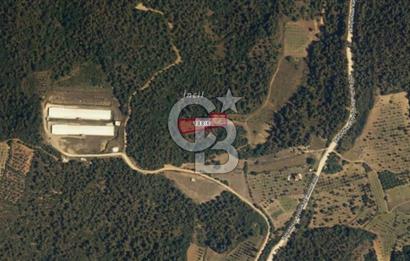 BİLECİK OSMANELİ BALIKÇIHİSAR KÖYÜNDE ETRAFI ÇEVRİLİ TARLA