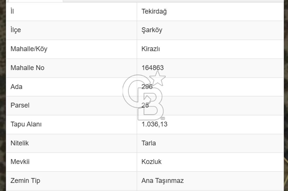 TEKİRDAĞ ŞARKÖY KİRAZLI' DA ZEYTİN AĞAÇLARI İLE DOLU FIRSAT!!