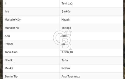 TEKİRDAĞ ŞARKÖY KİRAZLI' DA ZEYTİN AĞAÇLARI İLE DOLU FIRSAT!!