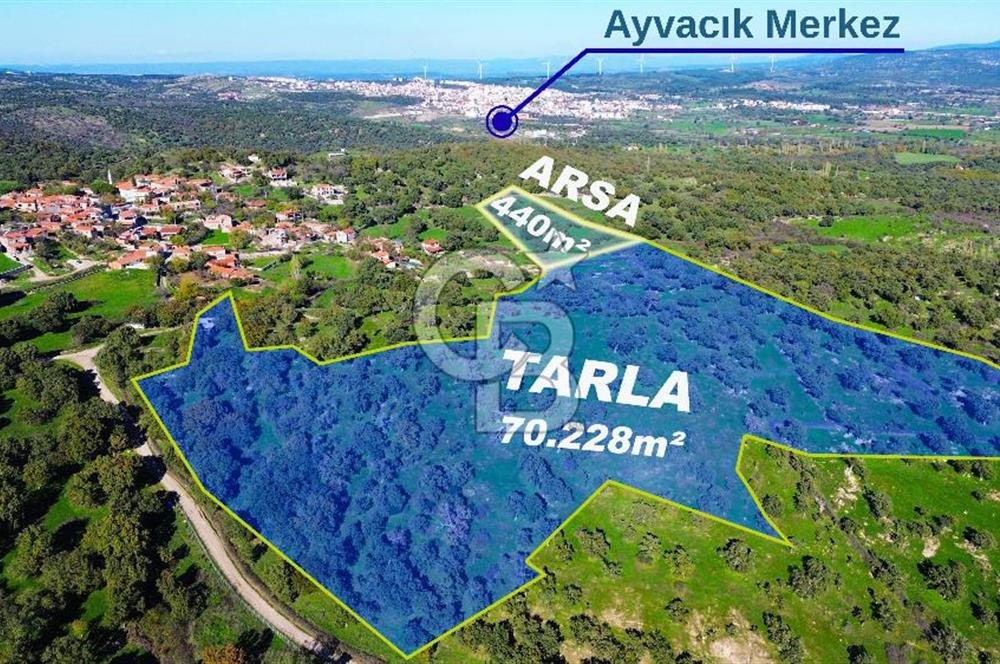 AYVACIK SÖĞÜTLÜDE BİR KISMI İMARDA 70 DÖNÜM YATIRIMLIK ARAZİ