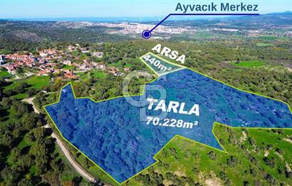 AYVACIK SÖĞÜTLÜDE BİR KISMI İMARDA 70 DÖNÜM YATIRIMLIK ARAZİ