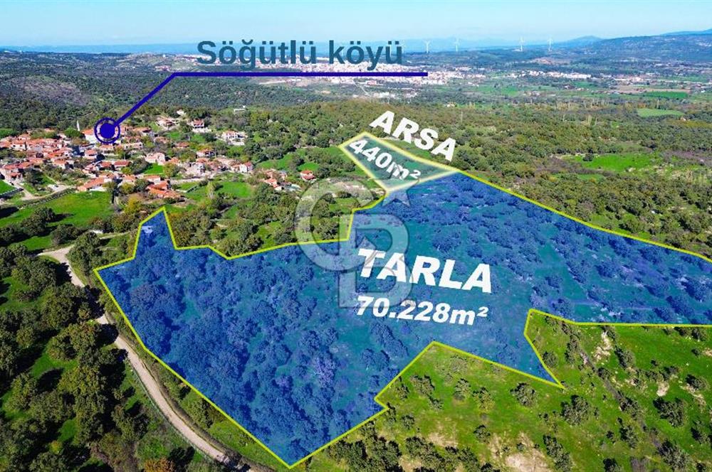 AYVACIK SÖĞÜTLÜDE BİR KISMI İMARDA 70 DÖNÜM YATIRIMLIK ARAZİ